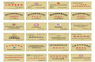 河北燕達(dá)醫(yī)院十五載榮譽(yù)之路：以仁心筑夢(mèng)，引領(lǐng)醫(yī)養(yǎng)康融合高質(zhì)量發(fā)展